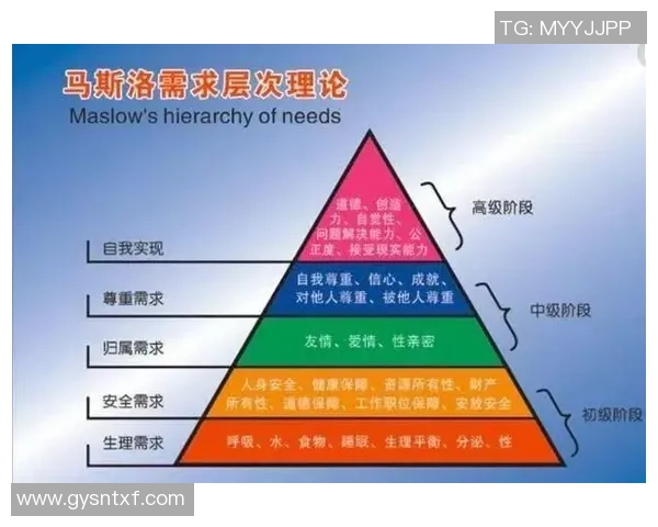足球明星的背后团队揭秘助理在职业生涯中的重要角色分析